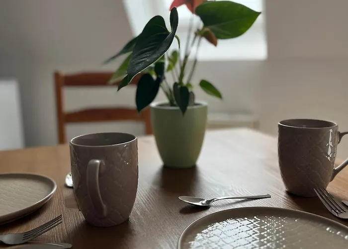 1 Raum Dachgeschosswohnung In Ruhiger Lage