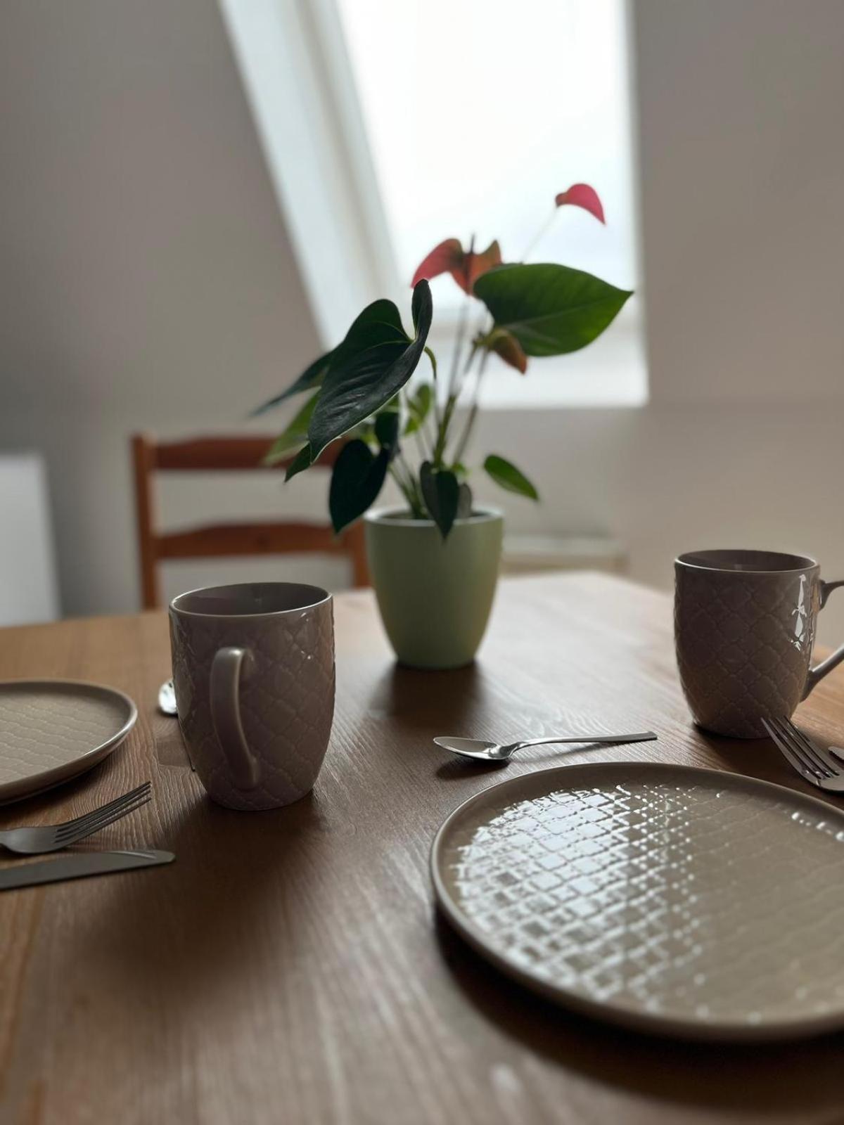 Apartment 1 Raum Dachgeschosswohnung In Ruhiger Lage *